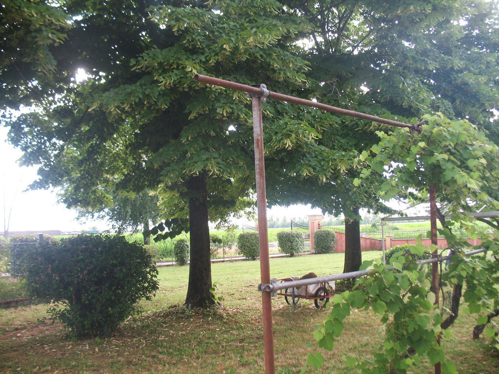Residenza Villa Rosa Mantova Exterior photo